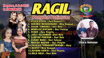 STECU STECU - LIVE PANYUTRAN BERGOYANG HOREG  - RAGIL PONGDUT