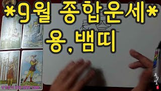 [9월 종합운세] 용띠,뱀띠(육합의 비밀)#사주#타로