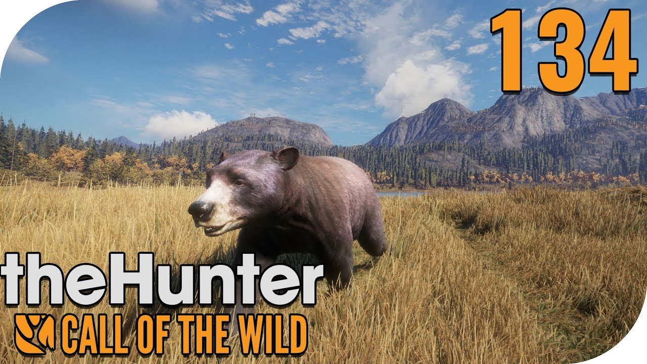 The Hunter Call Of The Wild Mr Black