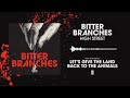 Bitter Branches - High Street (Official Audio)