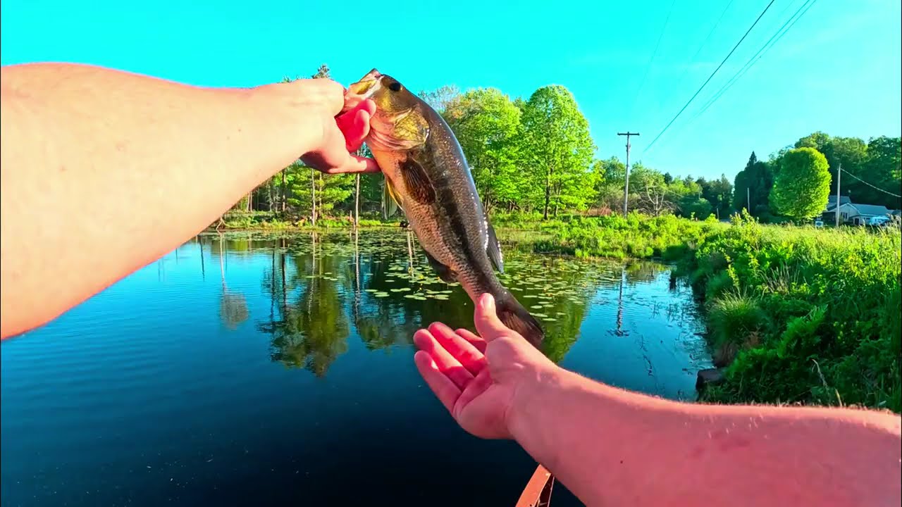 Relaxing Spring Afternoon Bass Fishing | NO COMMENTARY | Top Water Strikes | Cinematic GoPro Footage