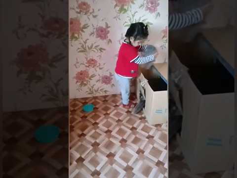 Амели и котята. #котики #видеодлядетей #дети #рекомендации # shorts