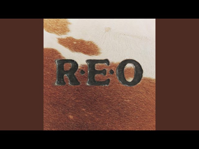 REO Speedwagon - Any Kind of Love