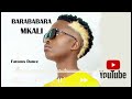 Wadaya mkali_barababara(official music audio)
