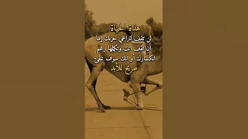 هذه الحياة لن تقف لـ تراعي حزنك إما أن تقف أنت وتكملها رغم انكسارك أو أنك ستبقى طريحا للأبد 