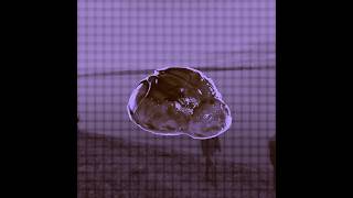 Profundeur Interlude - Jagger Finn (Drafts)