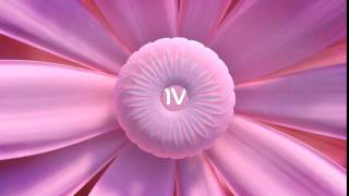Flower - Elegant Logo Reveal - After Effects Project Files | VideoHive 15224562