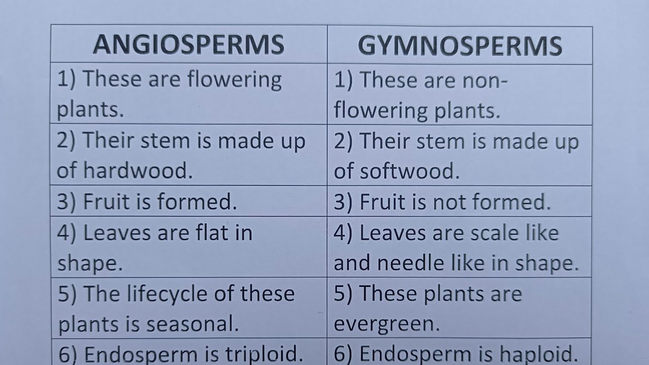 Angiosperm Vs Gymnosperm Leaves