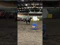 To say he’s 22 an running 15s is amazing! #horse #equestrianjourney #equestrian