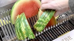 西瓜 VS粉碎機,結局誰也想不到 西瓜 चक्की! 撕碎機!破碎機!厲害! 驅逐艦 破碎機 碎紙機 Shredding machine VS 西瓜