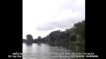 Trải nghiệm Homestay Vườn chim du lịch sinh thái cộng đồng Đất Mũi