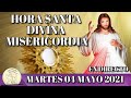 EN VIVO - HORA DE LA DIVINA MISERICORDIA -  MARTES 04 MAYO 2021