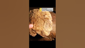 New human fossil discovered at Zhoukoudian Site