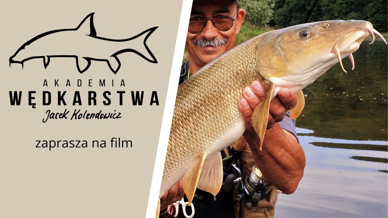 Łowienie brzan na spinning w rzece San - Jacek Kolendowicz dokładnie omawia ramkę z amortyzatorem