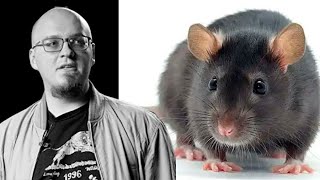 Как Ватоадмин убил крысу?