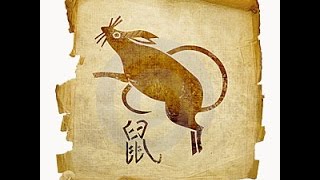 Гороскоп КРЫСА на 2017 год Китайский Гороскоп 2017 крыса женщина и крысы мышь мужчина Гороскоп КРЫСА на 2017 год Китайский Гороскоп 2017 крыса женщина и крысы мышь мужчина