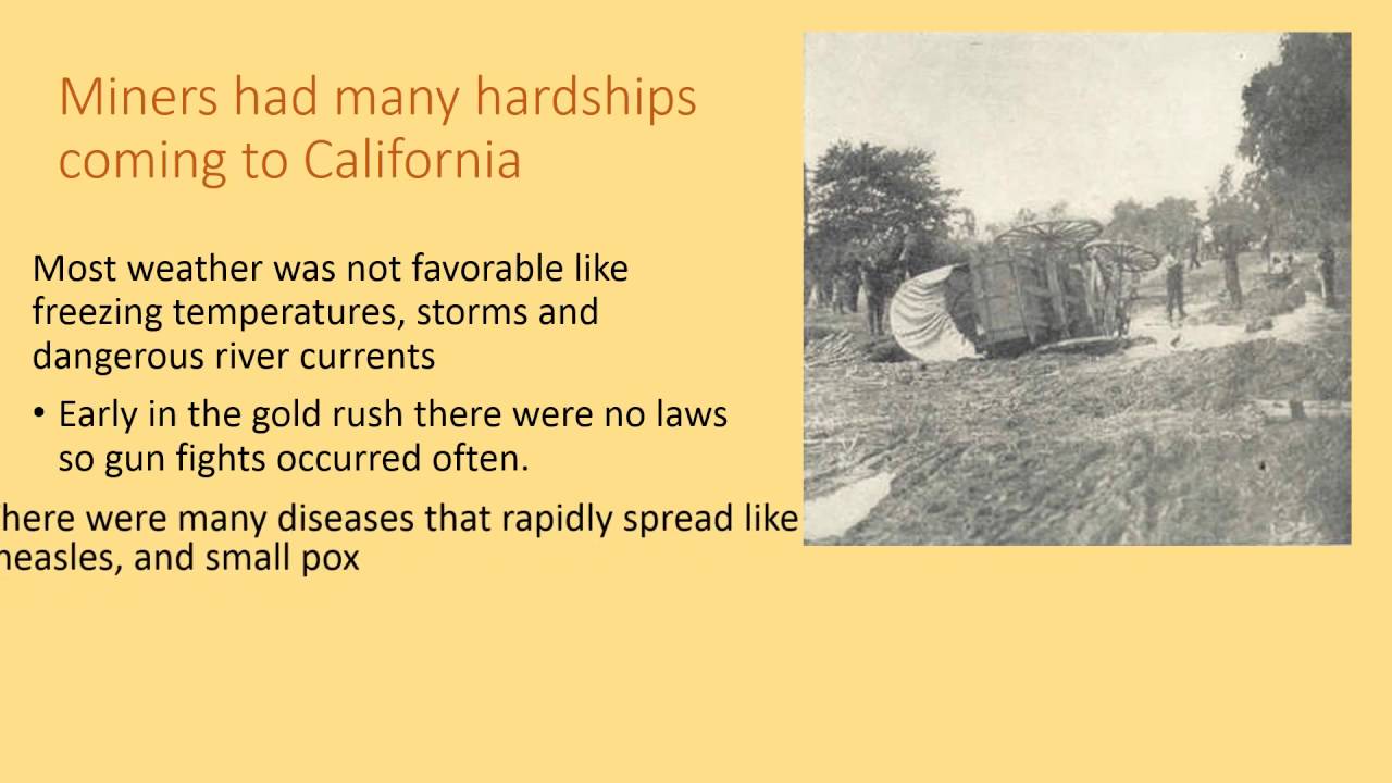 Ajay Penmetsa - Gold Rush Project