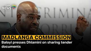 Madlanga Commission | Baloyi presses Dhlamini on sharing tender documents