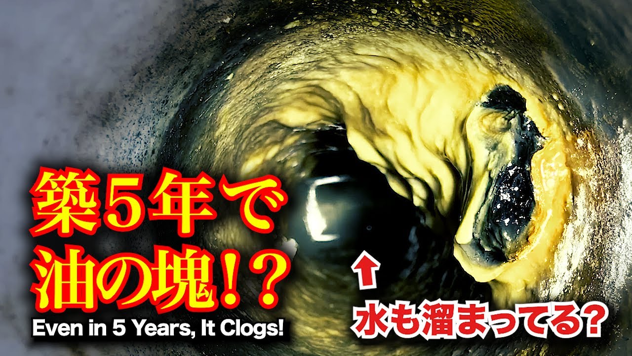 築5年で油の塊！？早すぎる台所トラブルの原因は…｜Grease Clogged a Young Kitchen!?