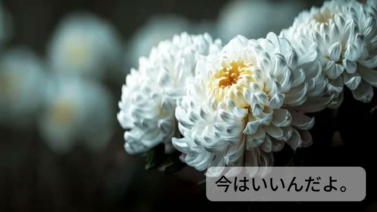 今はいいんだよ。/MIMI covered by ボンハム (Twitch配信アーカイブ2025.11.03)