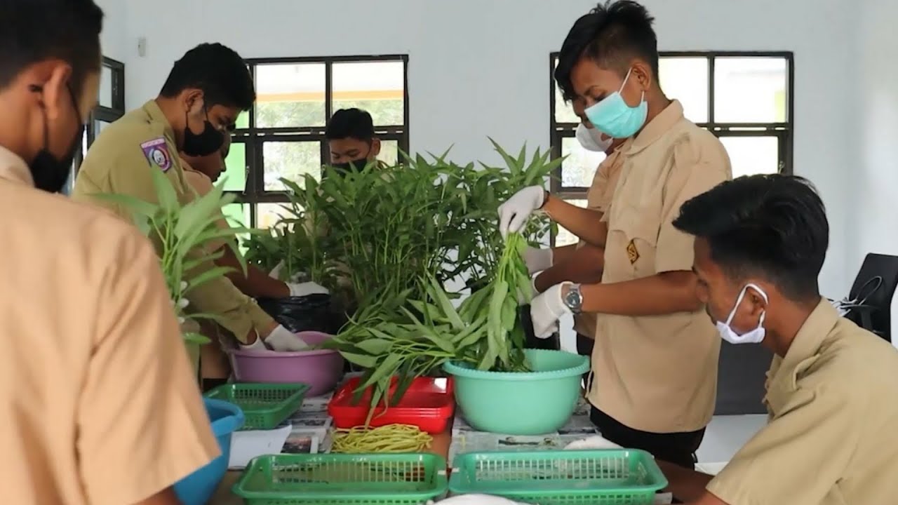Praktek Panen & Pasca Panen Pada Tanaman Kangkung|| Video Pembelajaran