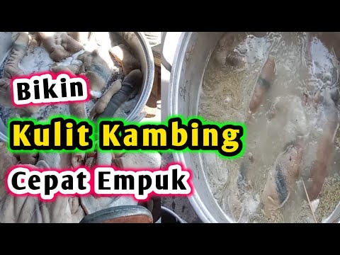 Cara Memasak Kikil Kambing Biar Empuk