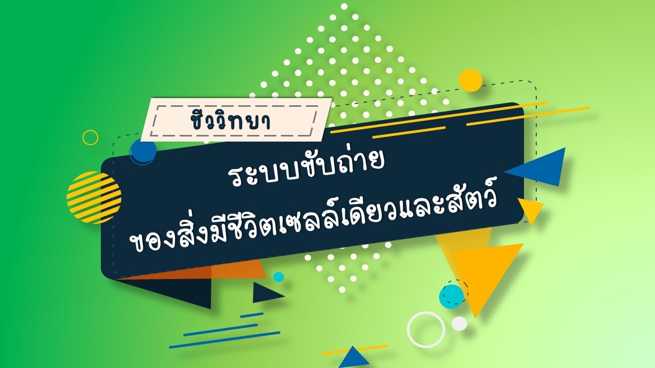 ระบบขับถ่าย ม.2 ppt  2022  ระบบขับถ่ายของสิ่งมีชีวิตเซลล์เดียวและสัตว์ วิชาชีววิทยา ม.5