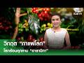 วิกฤต “กาแฟโลก” โลกร้อนคุกคาม “อาราบิกา” | TNN EARTH | 28-05-2569