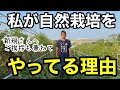 【自己紹介】私が無農薬•無施肥で畑をやる理由《自然農法/自然栽培/家庭菜園/自給農》