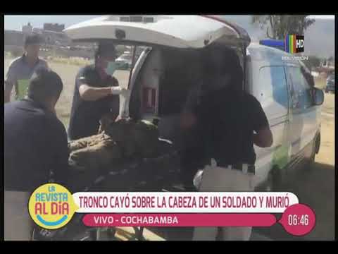 Soldado murió tras caerle un tronco en la cabeza informaciones diario