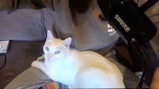 Famous EP 364: A Boulder of Salt and a Shot Put of Horseradish Net Worth