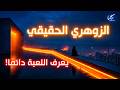 الزوهري الحقيقي يعرف اللعبة دائم ا هذا ما يحدث في عقولهم عندما يكتشفون أنك كشفت ألاعيبهم