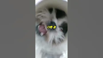 구멍에 꽈추 넣은 남자 ㄷㄷ 