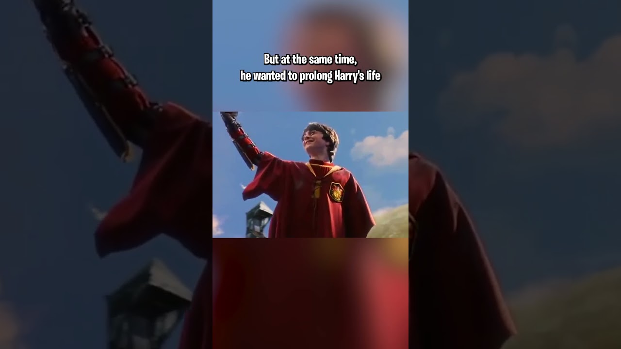 Why didn't Dumbledore TRUST Harry Potter with the Resurrection Stone? 