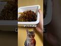 これは強い #コンビニ #セブンイレブン #新商品