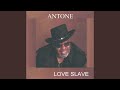 LOVE SLAVE -New Edition-