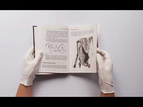 Качать пресс должно быть запрещено! Книга-тренинг, которая поможет убрать живот Качать пресс должно быть запрещено! Книга-тренинг, которая поможет убрать живот