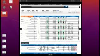 Make Money with Virtual Horse Racing screenshot 4