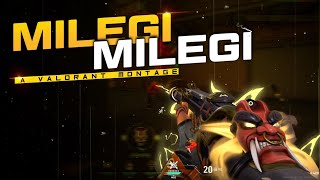 M I L E G I   M I L E G I ❤  (1440p)