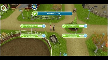 solve the 2nd Riddle- the pirate ( sims free play )