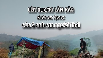Lên nương làm rào và bữa cơm đạm bạc của 2 anh em người thái