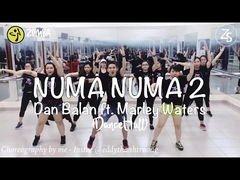 Numa Numa 2 - Dan Balan (feat. Marley Waters) / 恋のマイアヒ2018 - Zumba Dance Fit - ZS Crew Thanh Truong