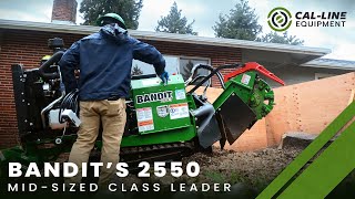 Bandits Cl-Leading 2550 Stump Grinder