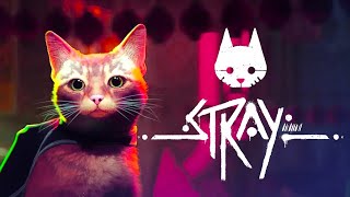 Кошачий стрим • Stray #1