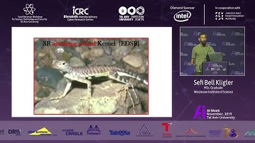 Blind Super-Resolution Kernel Estimation using an Internal-GAN