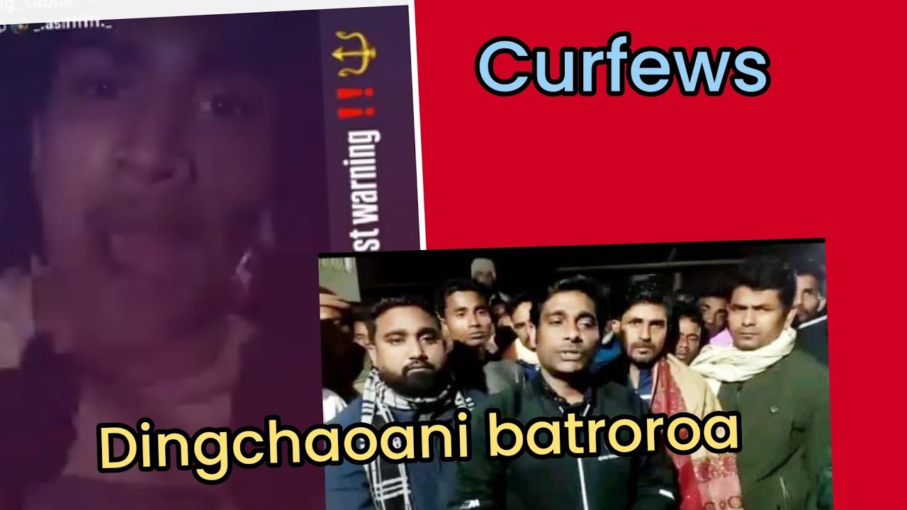 10 March 2026 Dingchaoani batroroa