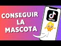 🎁 ¡NUEVA! Cómo Conseguir la Mascota de Racha en TikTok (2025 – ¡Funciona!)