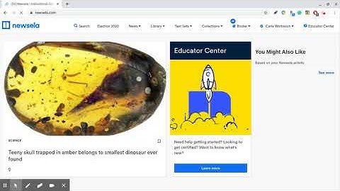 Newsela Access-Teachers