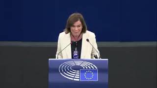 Intervento in Plenaria dell'europarlamentare del partito democratico Elisabetta Gualmini sulla relazione di attuazione sui fondi fiduciari dell'UE e lo strumento per i rifugiati in Turchia .