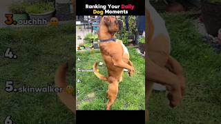 Do Not Open This Sound